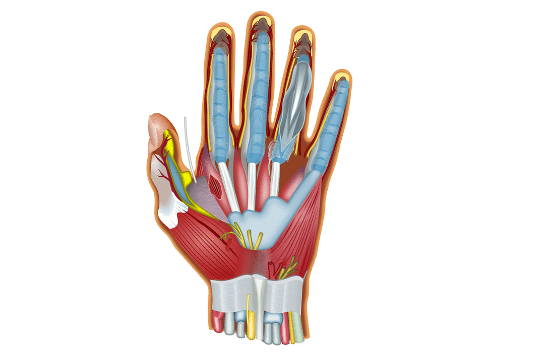 Ulnar Neuropathy and Its Treatment